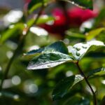 Jakimi przyrządami możemy zmierzyć wymiar zewnętrzny?