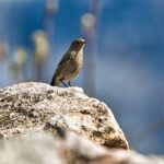 Co zrobić żeby nie było pleśni w domu?