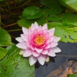 Czy 4 latek może jeździć na Podkładce? Czy 4 latek może jeździć na Podkładce?
