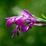 Kiedy powinno się ogrodzić działkę?