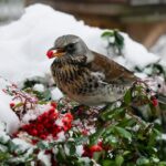 Do czego przepustnica w kominku?