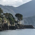 Ile kosztuje 10 metrów siatki ogrodzeniowej?