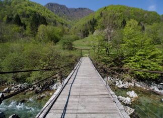 Ile kosztuje skrócenie bransoletki w zegarku?