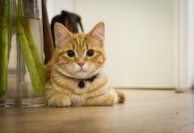 Dlaczego nie można głaskać się po brzuchu w ciąży?